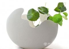 创意家居设计 你的家也可以如此富有情趣