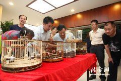 天津民间艺术展开幕 吸引市民参与收藏