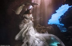 不是特效：美女与鲨鱼水下轻灵共舞