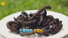 跟着《爸爸去哪儿3》 一起玩转云南西双版纳