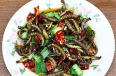 跟着爸爸去哪儿 玩转云南西双版纳