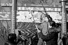 庙会游客爆满：非遗技艺成主角 餐饮老字号入驻