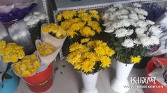 清明节临近 石家庄鲜花和祭祀用品销售升温[图]