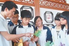 义乌剪纸艺人余军进推动中国剪纸行业的发展(组图)