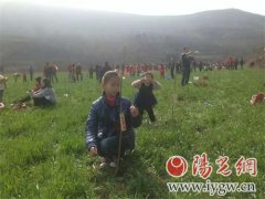 宝鸡上善桃园义务植树暨公益认养活动成功举行