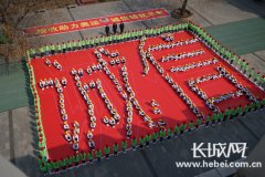 税收宣传月恰逢申冬奥 “万人签名”助力申办成功