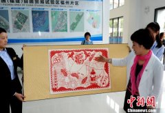 剪纸名家创作《喜迎自贸区，两岸大融合》