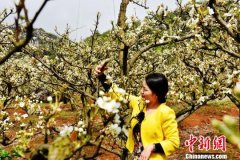 美女花丛中拍照