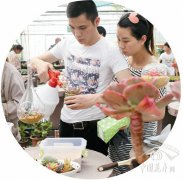 多肉花园玩起来