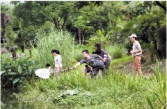 野外追踪 捕捉昆虫