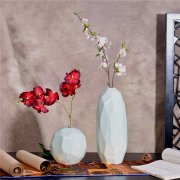 在家中增添一抹春色