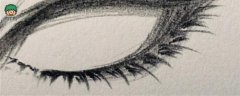 教你如何画眼睛和一些关于线条的动漫技法