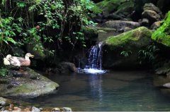 春意盎然 安吉凯迪拉克邀您来约“惠