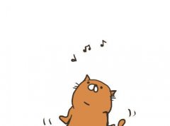 新安婚纱摄影之婚前昏否？帮你做婚检