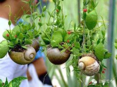 【环保】世界地球日 小陇教你变废为宝