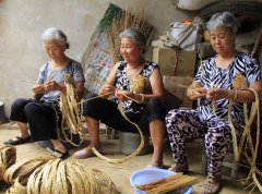 安阳：一根小麦秸秆变废为宝的“生态之旅”