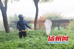 揭秘林业害虫普查 普查队员每天要抓数百种昆虫
