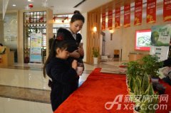 【中锐 第一城】绿植DIY 打造大宣城迷你绿色花园