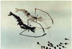 国产动画被指抄袭 网友：抄袭丢人丢到国外(图)