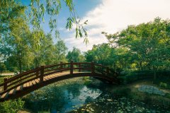 金秋时节那里玩 郑州休闲农业推多条线路供市民参考