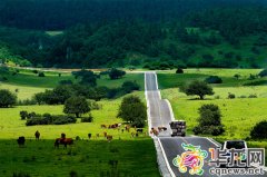 周末去哪儿？ 重庆这130个绿色氧吧免费开放