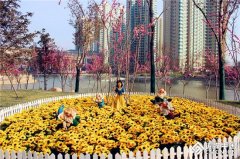 2016我跟春天有个约会 绿植创意DIY享绿色生活