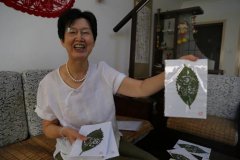 中國評論新聞：浙江嘉興：樹葉上的“剪紙”（組圖）