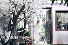 上海浦东高端婚纱摄影工作室最新消息