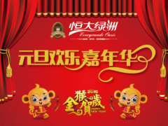 恒大新品誉满宜昌，元旦豪享黄金大礼！