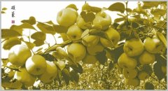 照片?油画？不！这其实是剪纸