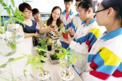 43中校本课程：学生想上什么课 老师就开什么课