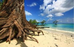 摄影师拍别样印度：远离喧嚣的小清新 宁静清幽