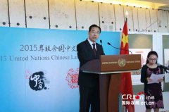 ＂联合国中文日＂拉开序幕 剪纸展深受欢迎(组图)