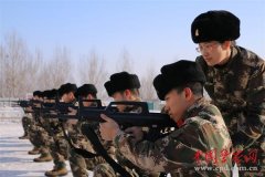 魏凤清：永不凋零的冰凌花