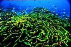 国家地理经典佳作 组图