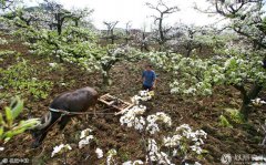 人间四月天 踏春好时节
