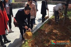 景德镇陶瓷学院积极开展学雷锋志愿服务活动