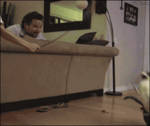 搞笑GIF图片：好可爱的动物呀！