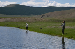 非主流钓法之花篮钓