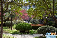 春在校园 我想带你去看看