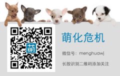 饭后茶娱，饭后瞅一瞅！