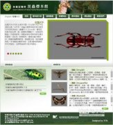 台湾森林昆虫标本馆全面更新