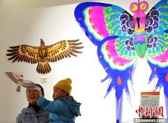 河北举办“我的中国梦·迎新春”民间美术作品展