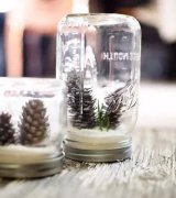 10种创意 DIY迷你小森林