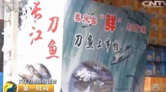 长江刀鱼1斤卖4000元翻番近4倍 渔民称赔本买卖