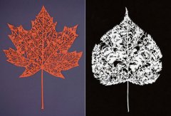 灵动诡秘：外国人的剪纸艺术(组图)