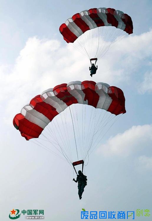 解放军跳伞唯美瞬间:海空壮美 鲜花烂漫(高清组图)