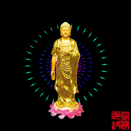 460_460gif 动态图 动图