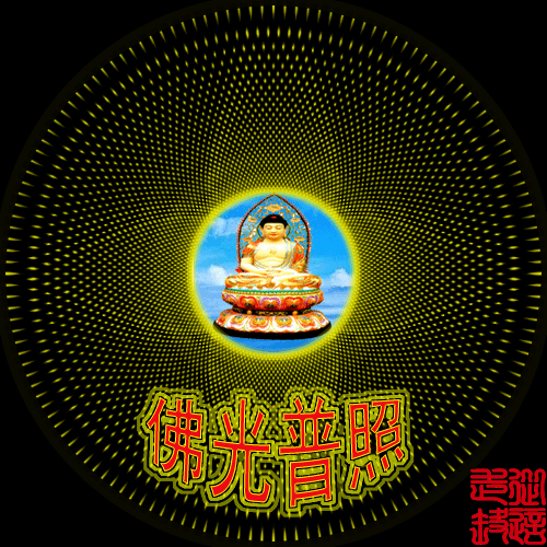 500_500gif 动态图 动图