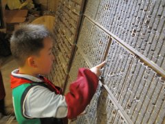 青岛小学生转动印刷老机器制作贺卡 表达对妈妈节日祝福